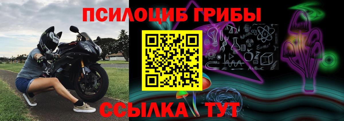хочу   Вход с VPN  Галлюциногенные грибы Psilocybine cubensis  Качканар  Псилоцибиновые грибы Psilocybe 